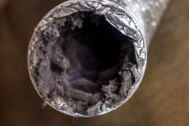 Best Air Duct Cleaning Near Me  in Evendale, OH